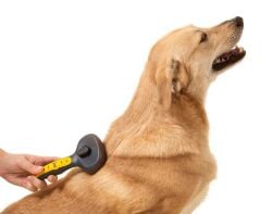 JW Gripsoft Basmalı Köpek Tarağı – Büyük Boy | Ergonomik Saplı, Tüy Dökülmesini Azaltan Tarak