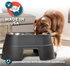 Yükseltilmiş Köpek Mama ve Su Kabı | 2 x 1 Lt Paslanmaz Çelik Kap | 20 cm Yükseklik