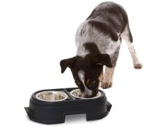 Yükseltilmiş Köpek Mama ve Su Kabı | 2 x 1 Lt Paslanmaz Çelik Kap | 20 cm Yükseklik