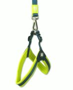 Max & Molly Matrix Green Q-Fit Köpek Göğüs Tasması XXS