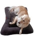 ElfinPAWS 75x95 cm Su Geçirmez Alezli Çift Taraflı Köpek Yatağı Kedi Yatağı – Antrasit