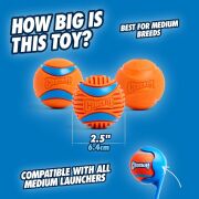 Chuckit! Fetch Medley (Gen 3) Köpek Oyun Topu Seti 3'lü Paket (Orta Boy)